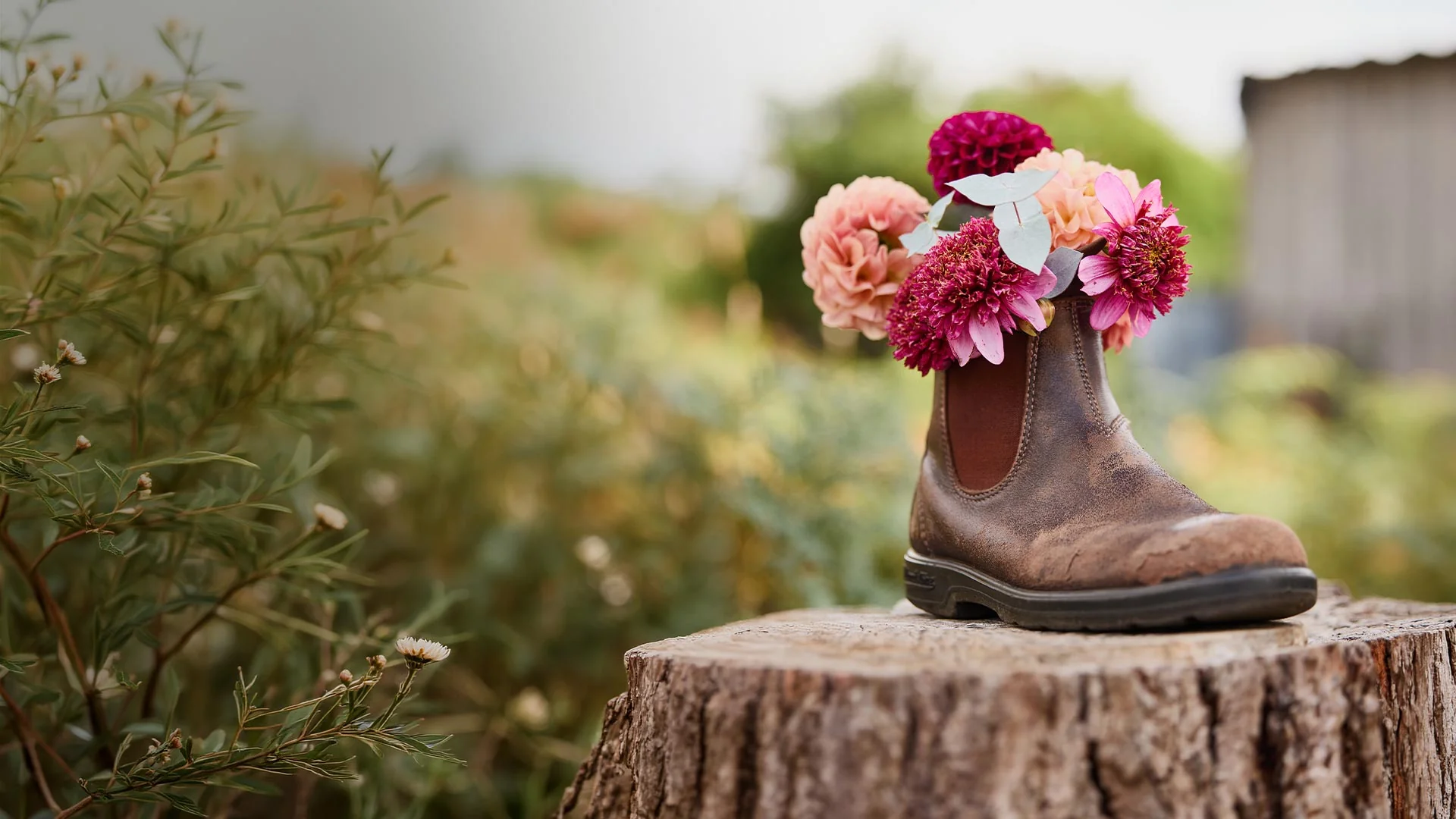 Iconic Comfort for Every Step